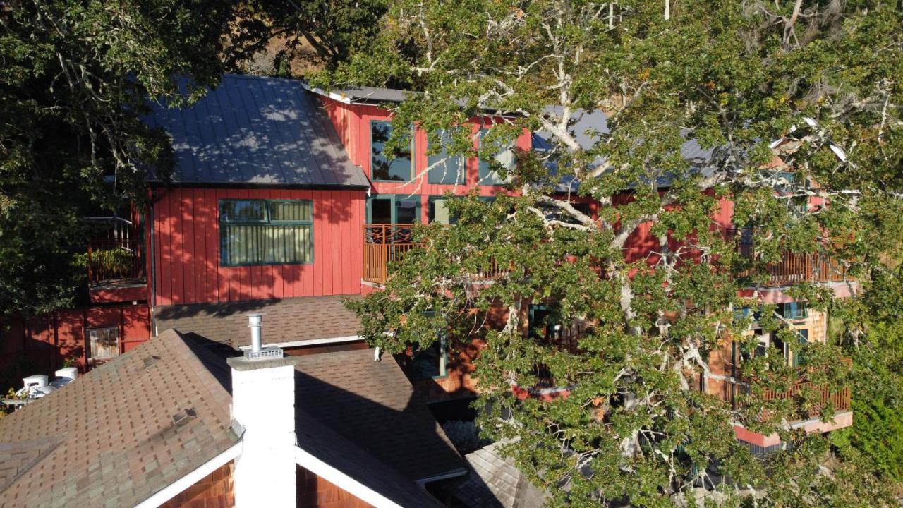 Salishan Tree House Suite Teluk Cowichan Luaran gambar